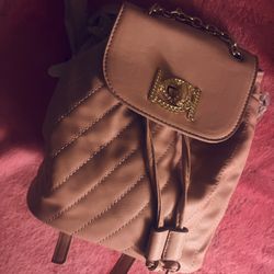 mini pink bag/backpack