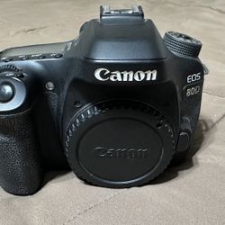 Cannon 80d Go Pro Hero 5