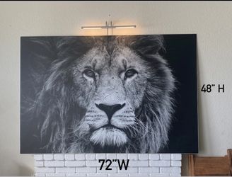 Lion Photograph | Aluminum Sheet | Large Print | Artwork | Photography |