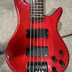 5 String Ibanez