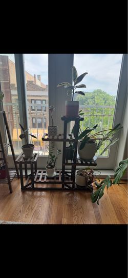 Plant stand