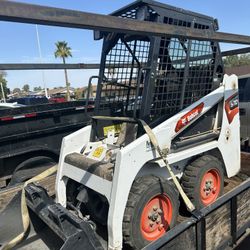 Bobcat For Sale 