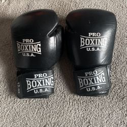 12 Oz Gloves For Free