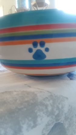 Brand new dog dish