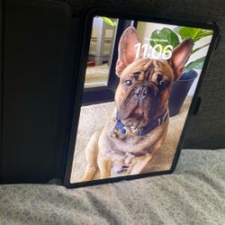 Apple iPad  Pro 4th Generation 