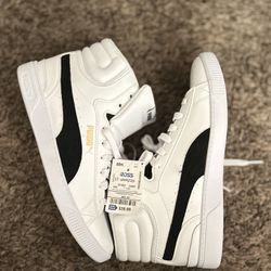 Puma