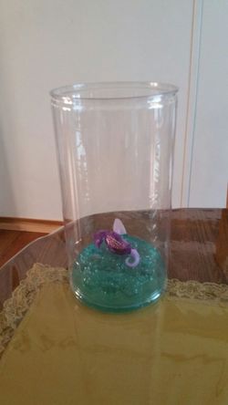 Tank with fish toy