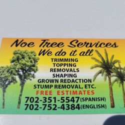 Trees / Palms / plants 
