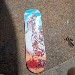 Full circle limited edition 2025