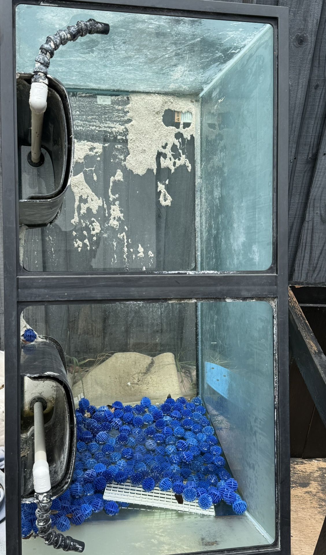 Saltwater Fish Tank