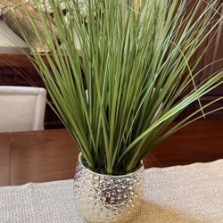 Decorative Plant, Like New. ( PRICE IS FIRM) 