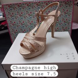 Wedding Brand New Shoes In Box 