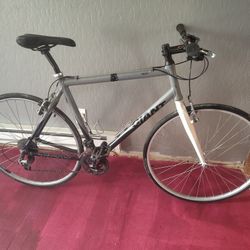 Giant Hybrid Bike