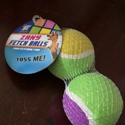 Zany Fetch Balls