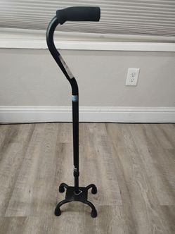 Cane