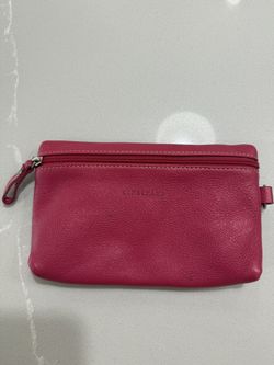 Longchamp pouch