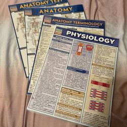 Medical Study Guide | Anatomy & Physiology