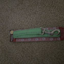 Dog Leash