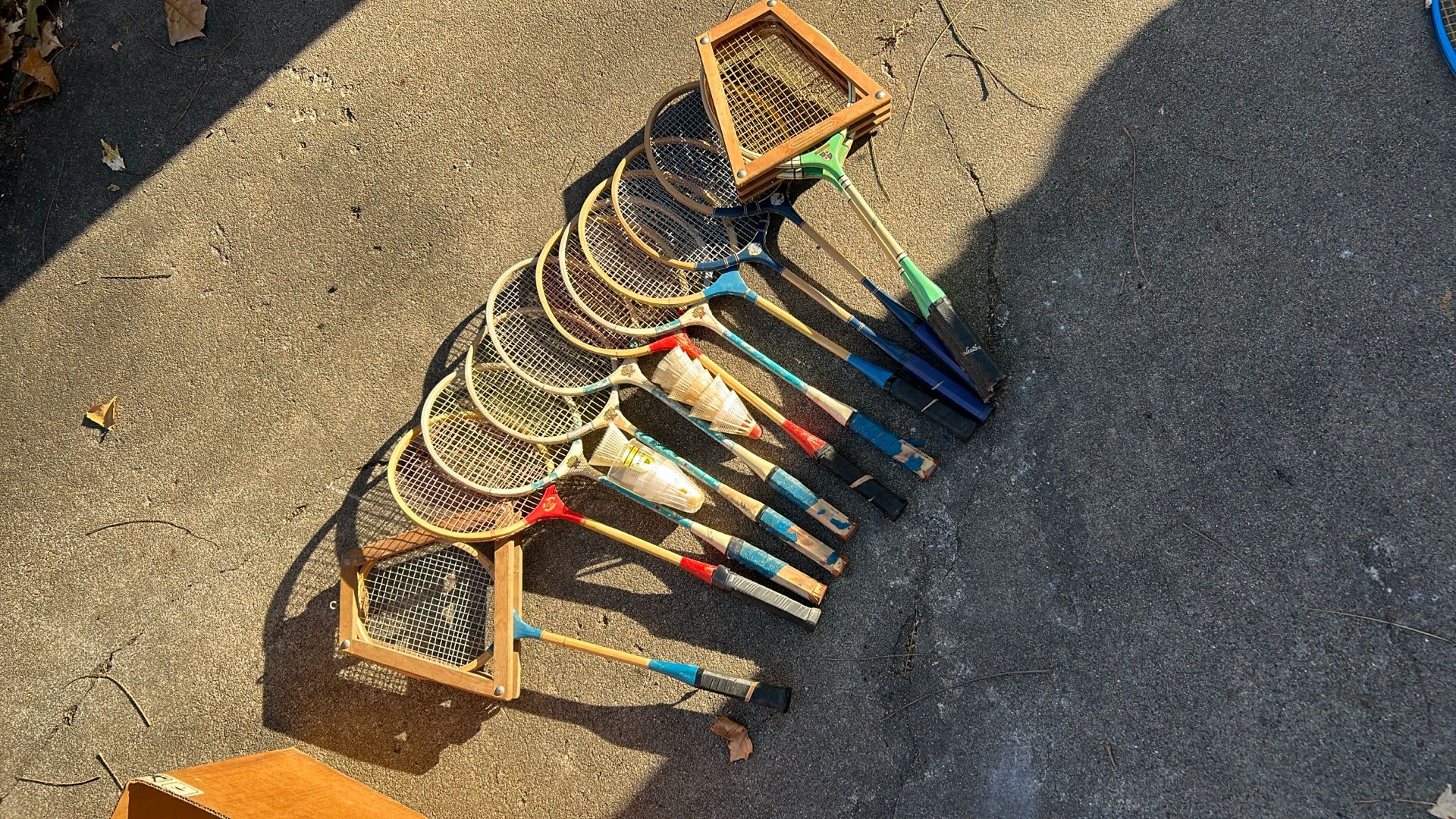 12 Badminton With Feathers And Two Protector 