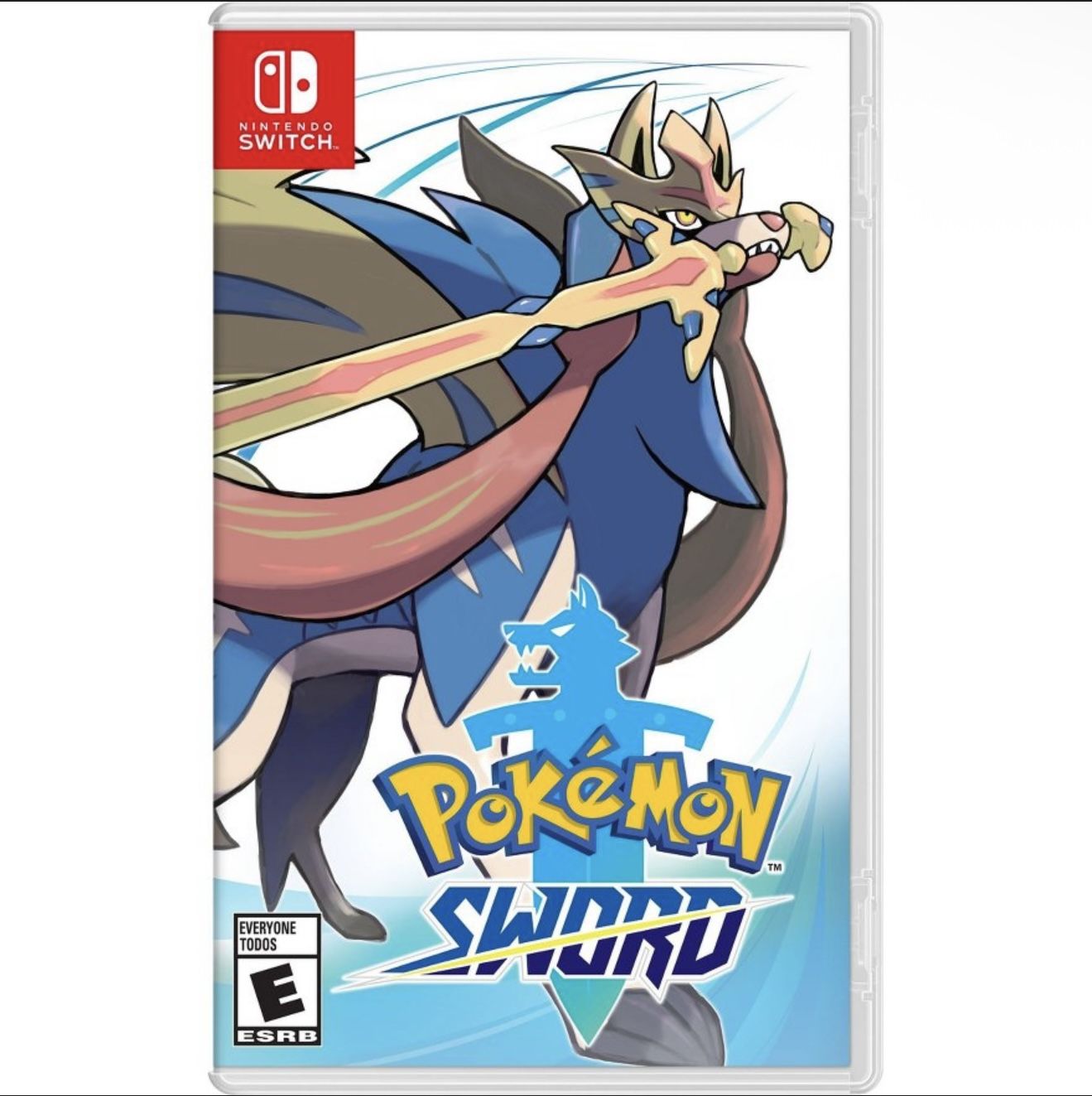 Pokémon sword switch NO CASE