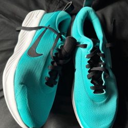 Nike Promina Men’s 8.5