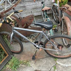 Vintage Custom Painted Bike