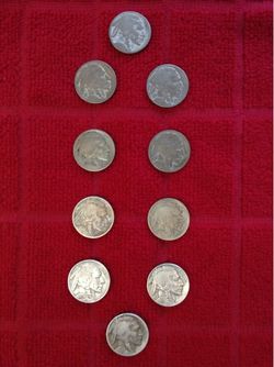 Buffalo/Indian nickels 2004-2005  $40.00 CASH. TEXT FOR PRICES.