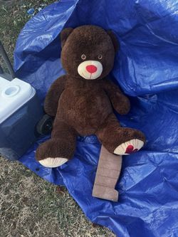 Medium Size Teddy Bear 