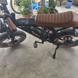 5th Wheel Electric Bike 