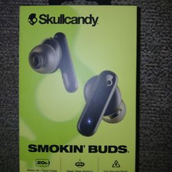 Skull Candy Earbuds 