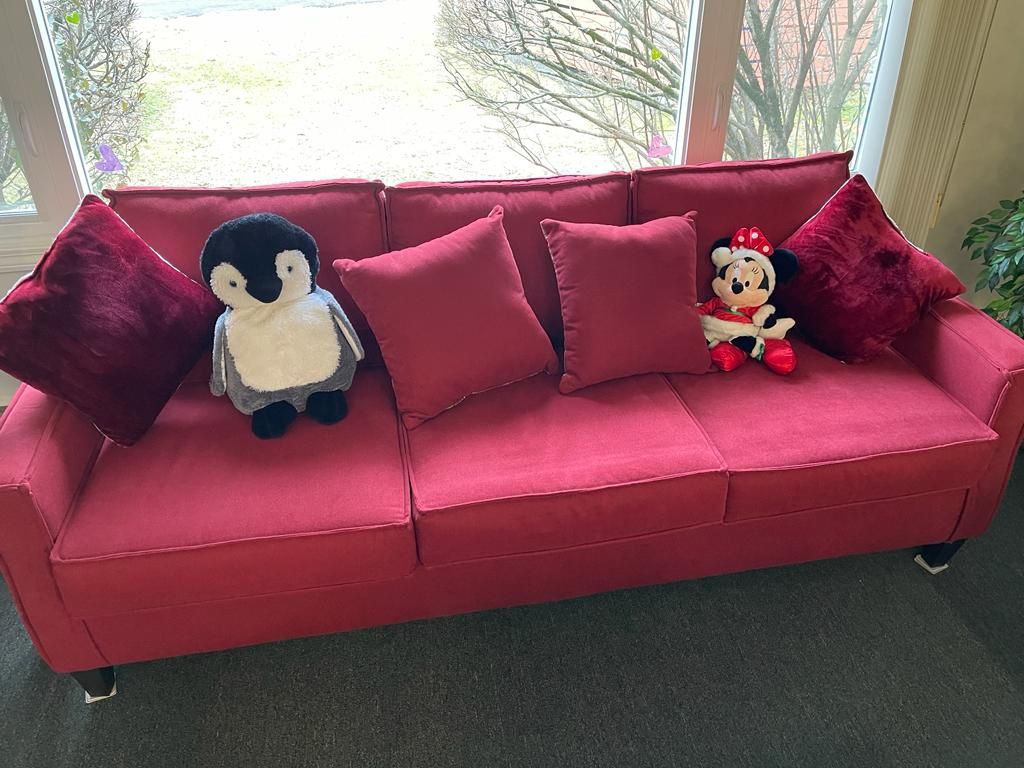 Beautiful Red Couch