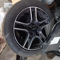 Rin Ford Mustang 2018 2020