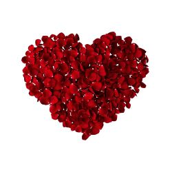 Looking for boy shorts and pants size 10/12