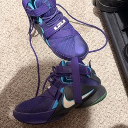 7 youth LeBron Nike 