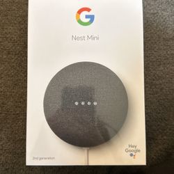 Google Nest Mini 