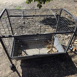 Guinea pig cage