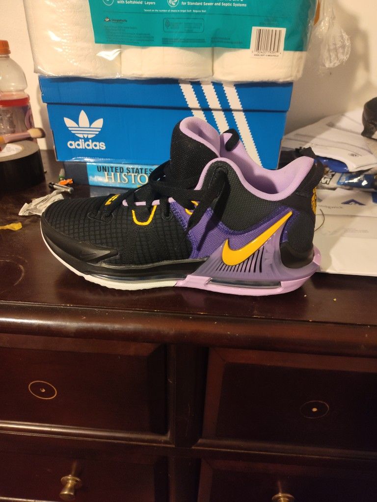 LeBron James Size 8.5 Jordans Size 8