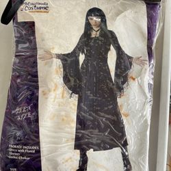 Teen Halloween Costume- Angel Of Darkness