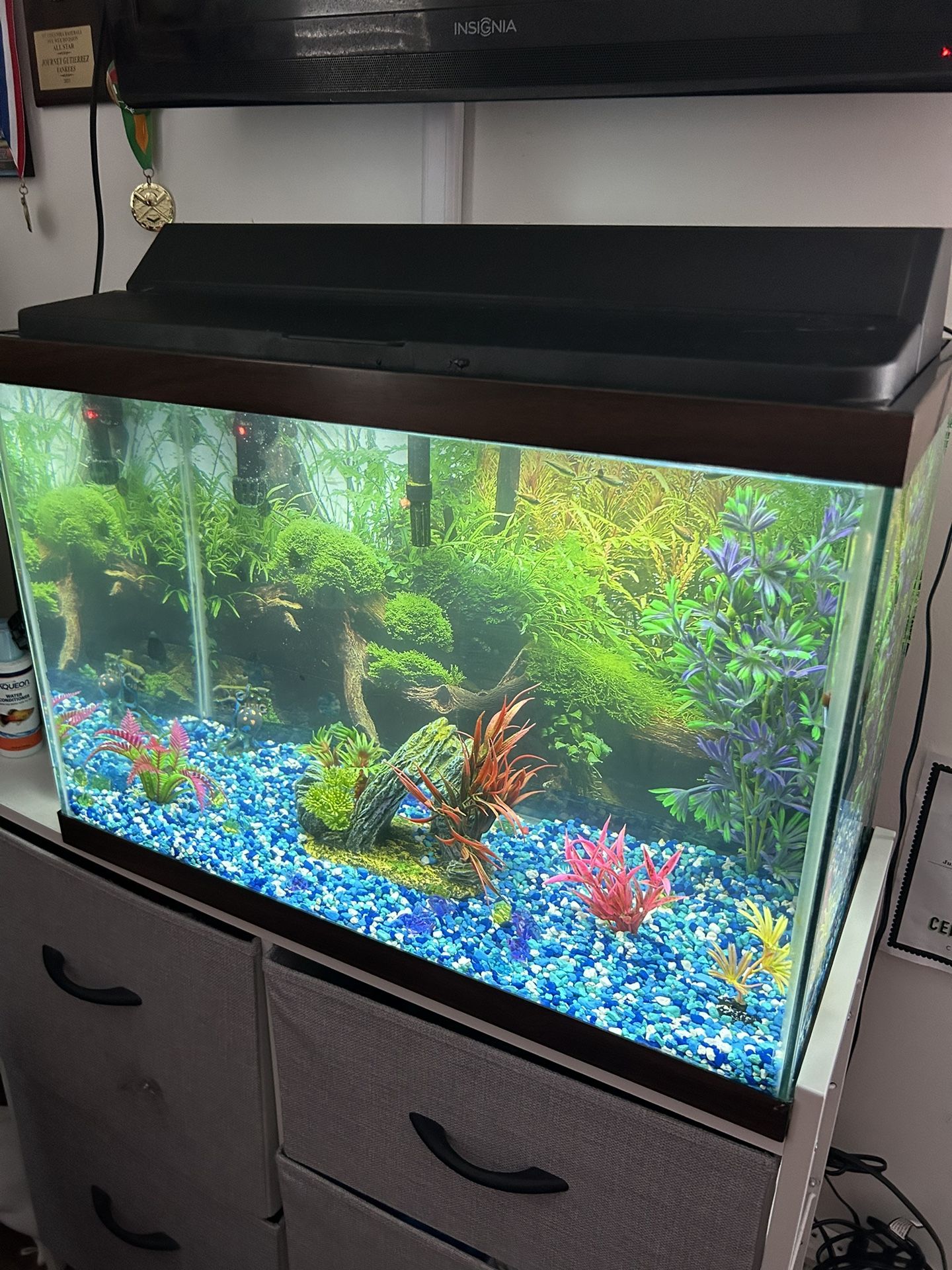 Fish Tank Accessories