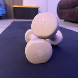 5lb  Dumbbell Set