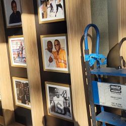 Mayweather Display Case