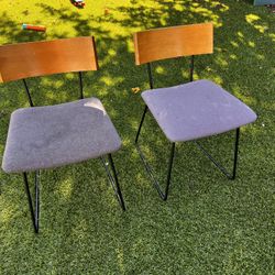 Dania Mid-century Style Dining Chairs 