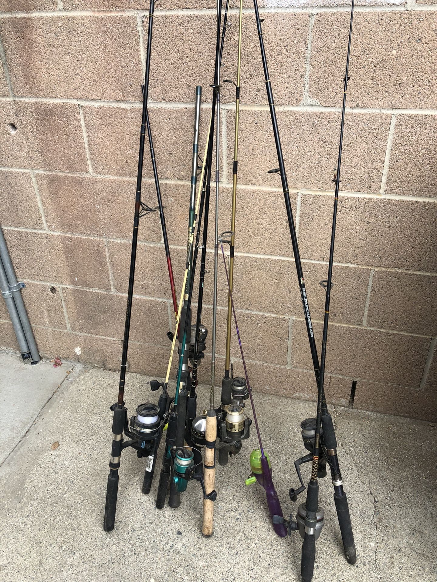 Fishing Rods