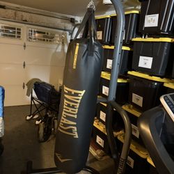 Punching Bag With Stand 