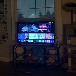 LG 44in TV