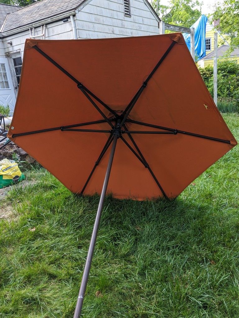 Tucci 8 ft Umbrellas. As is.