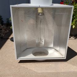 Hydroponic Grow Lights