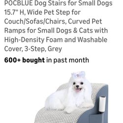 Dog 🐶  Stair