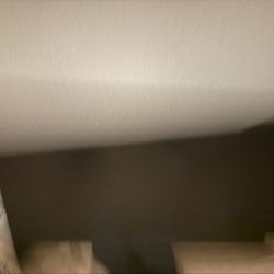 Two 24” LG Monitors
