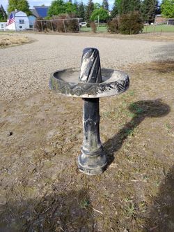 Bird Bath 